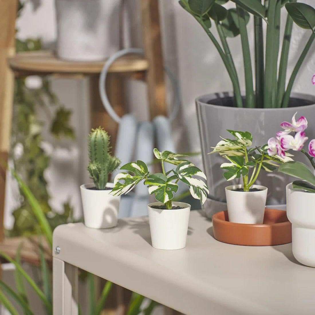 Amazon.co.jp: IKEA イケア 人工観葉植物 鉢カバー付き 室内 屋外用